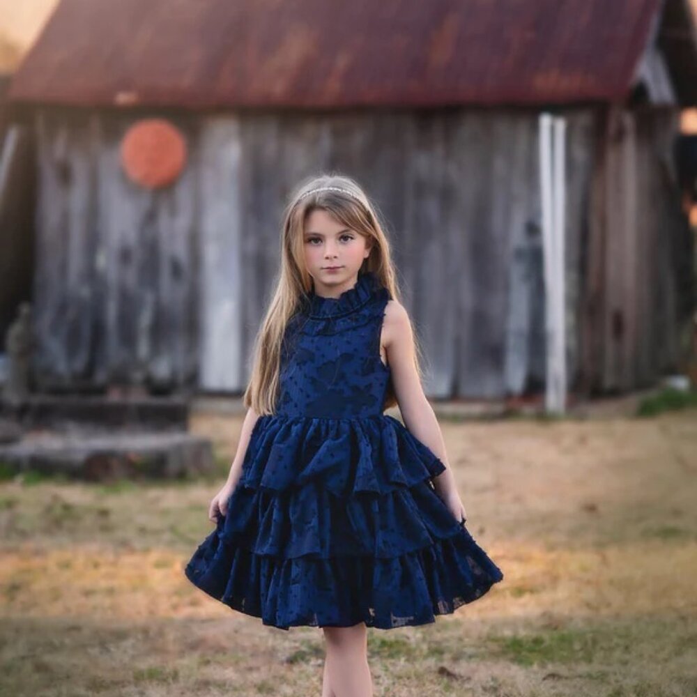 Trish Scully Joelle Dress Navy Blue Dress Size 4